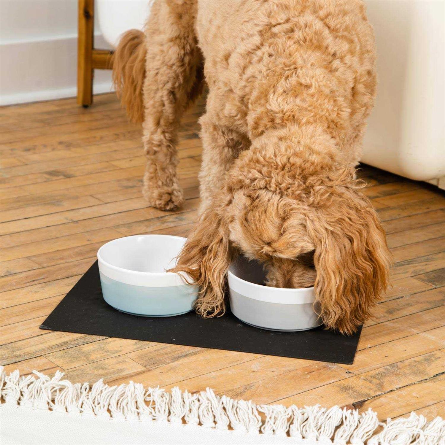 Bubbles Dog Placemat Waggo - Healthber