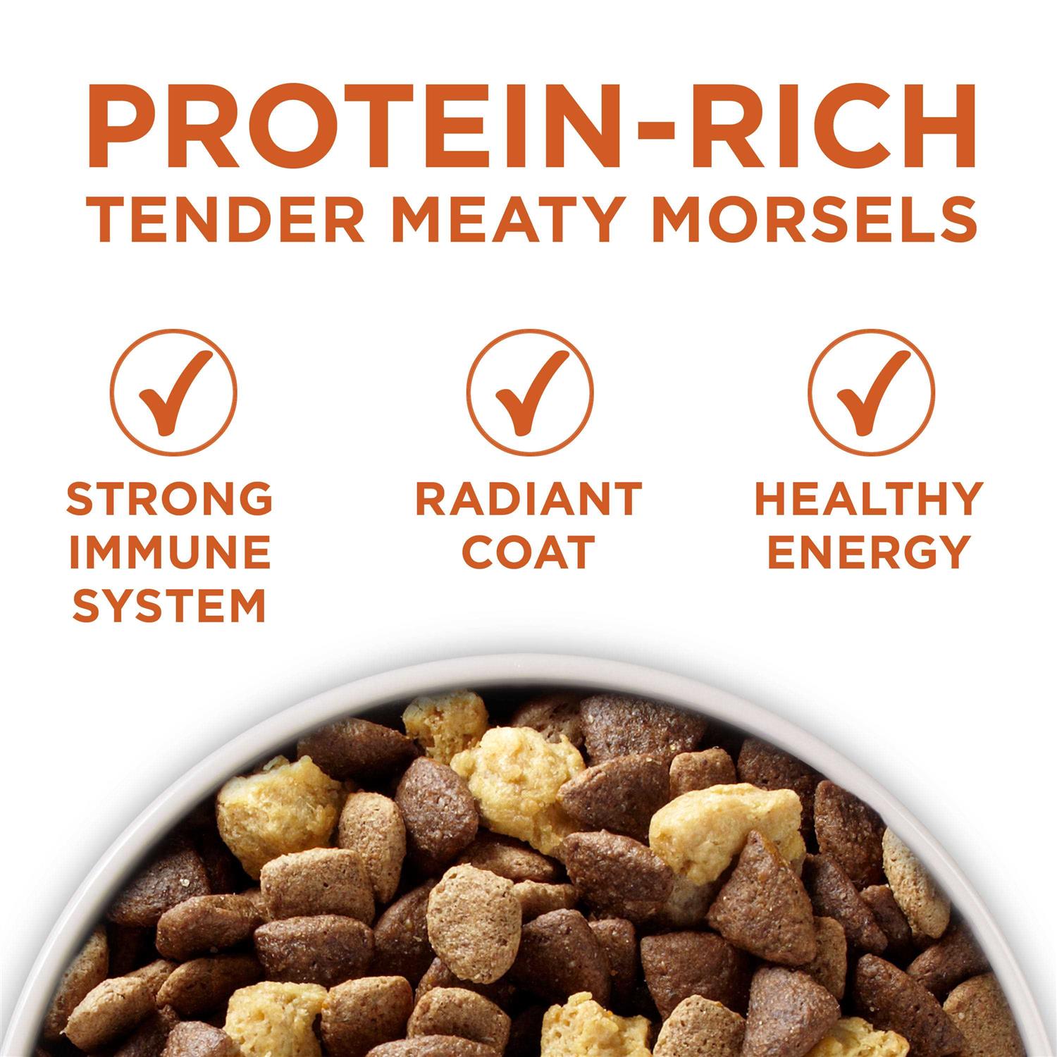 Purina ONE Plus Healthy Weight High Protein Formula Dry Dog Food - Healthber