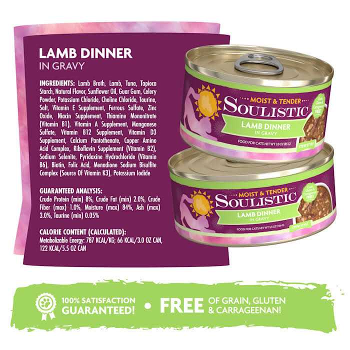 Soulistic Moist & Tender Dinner in Gravy Wet Cat Food - Healthber