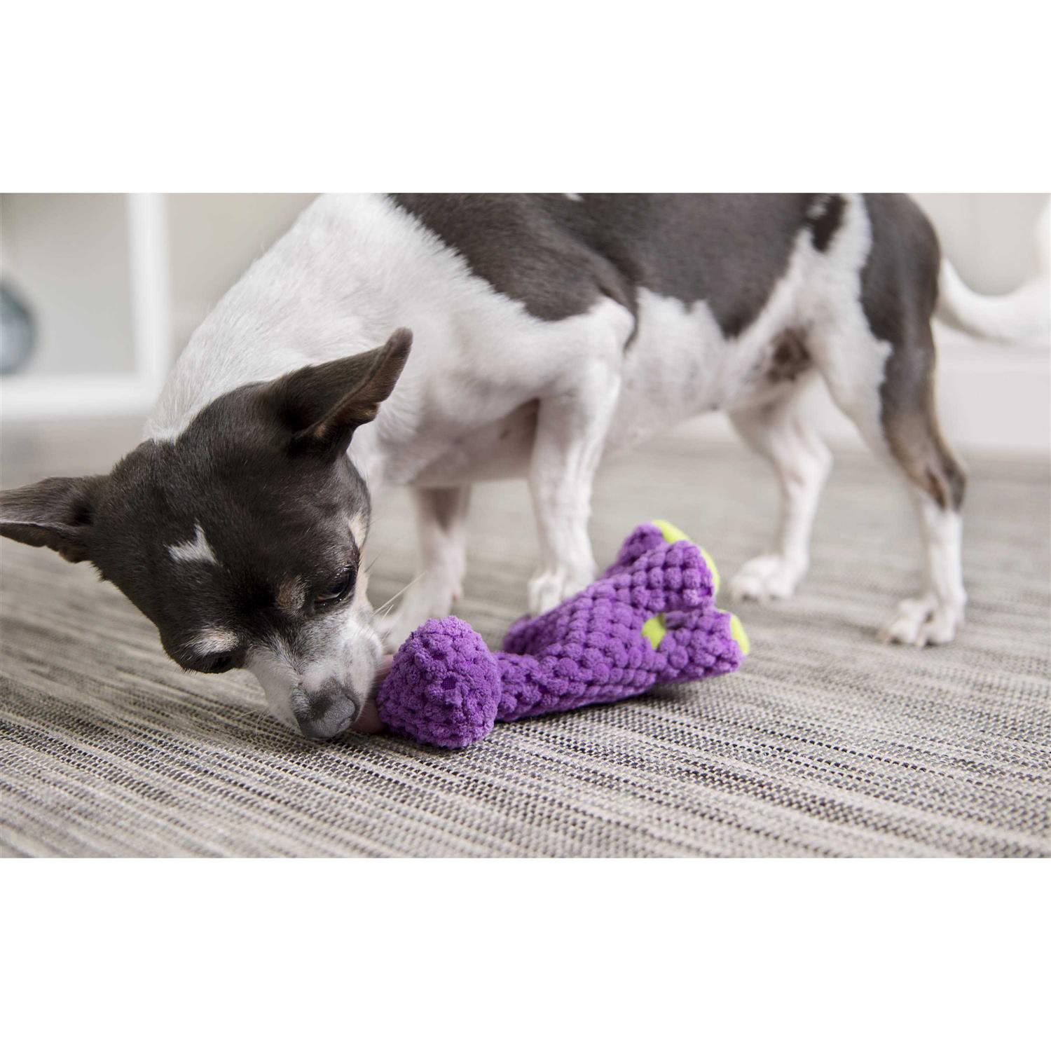 goDog Checkers Just For Me Dinos Bruto Squeaky Plush Dog Toy - Healthber