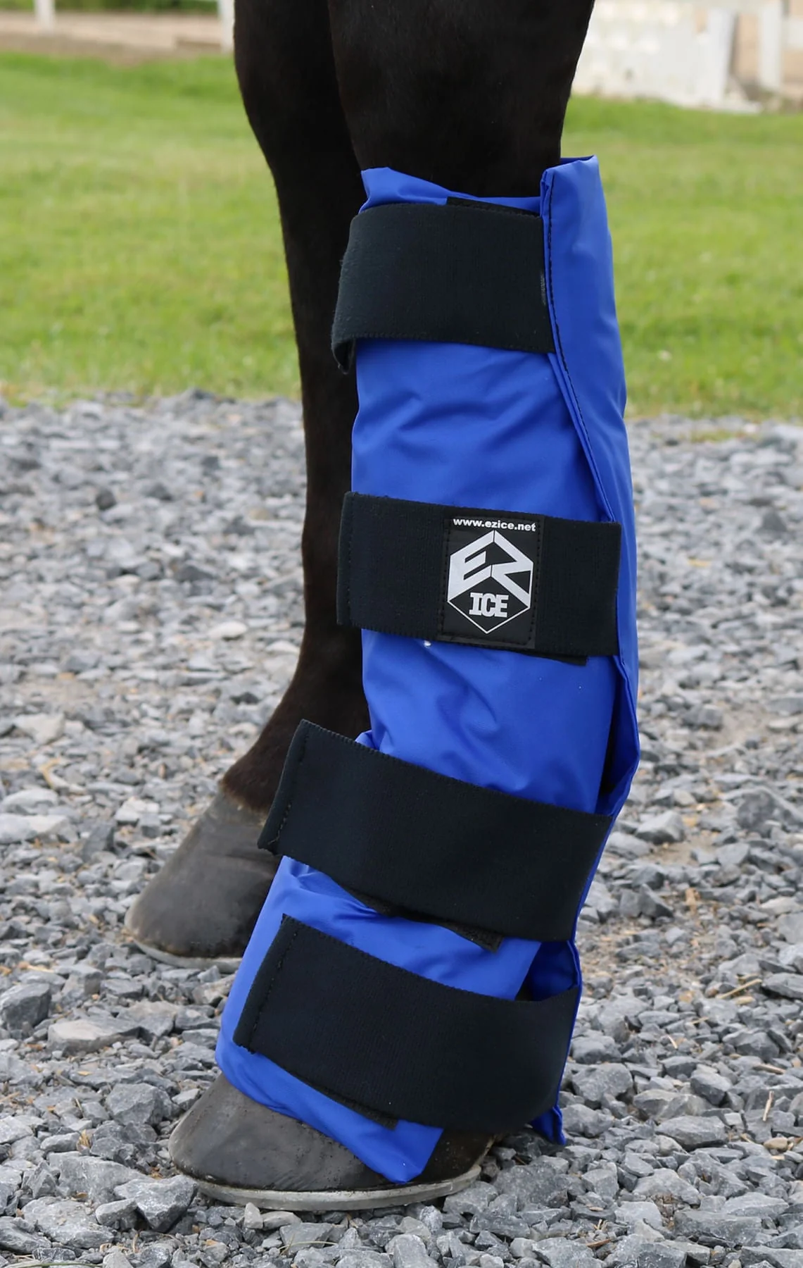 EZ Ice Hoof Combo Ice Therapy Horse Boot - Healthber