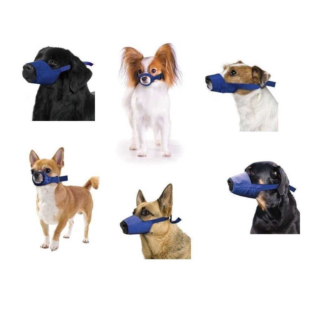 Four Flags Quick Muzzle Xxs - Healthber