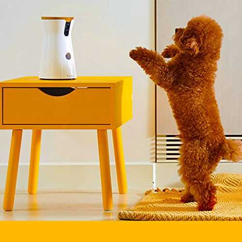 Furbo Dog Camera - Healthber