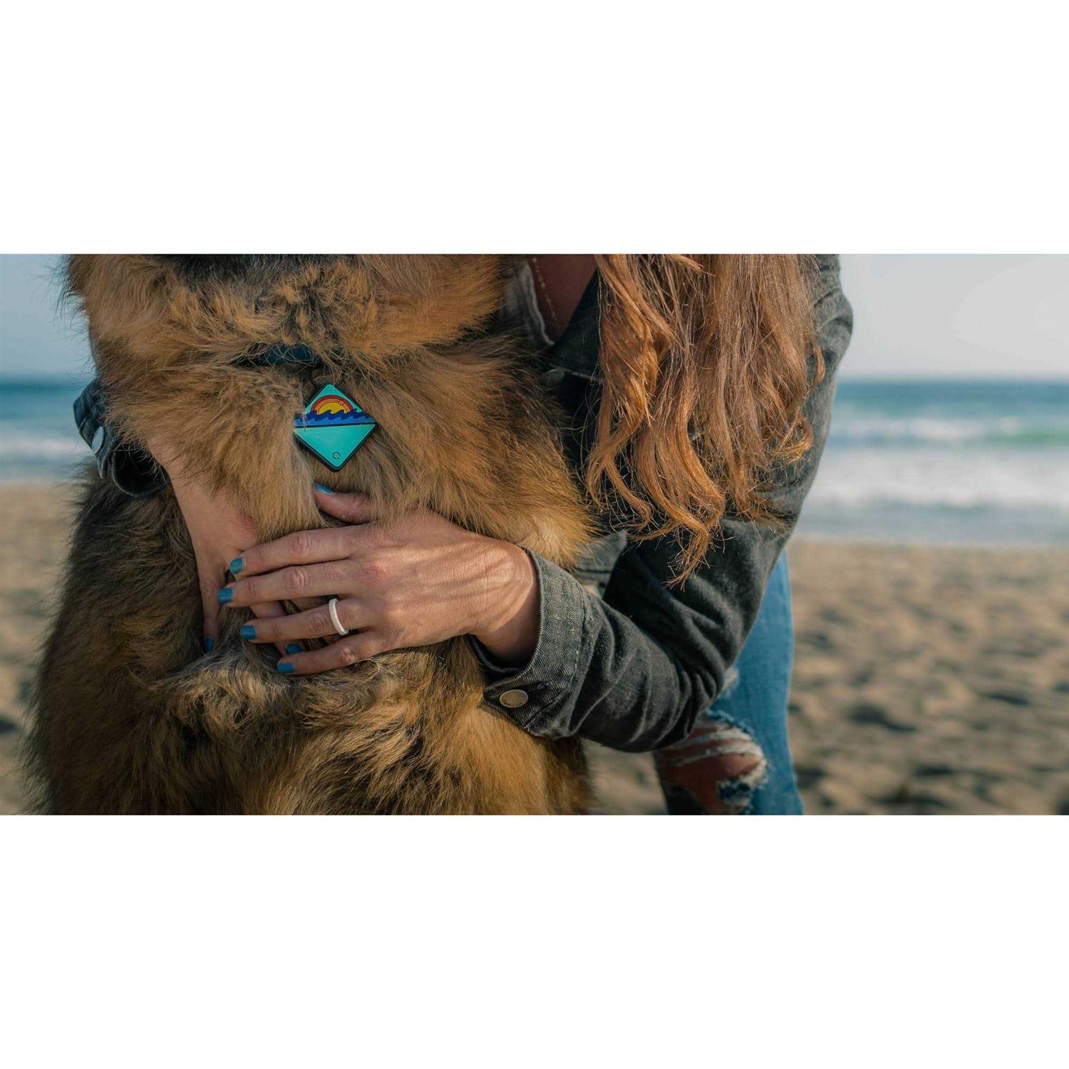 QALO TraQ Dog Silicone ID Tag - Healthber