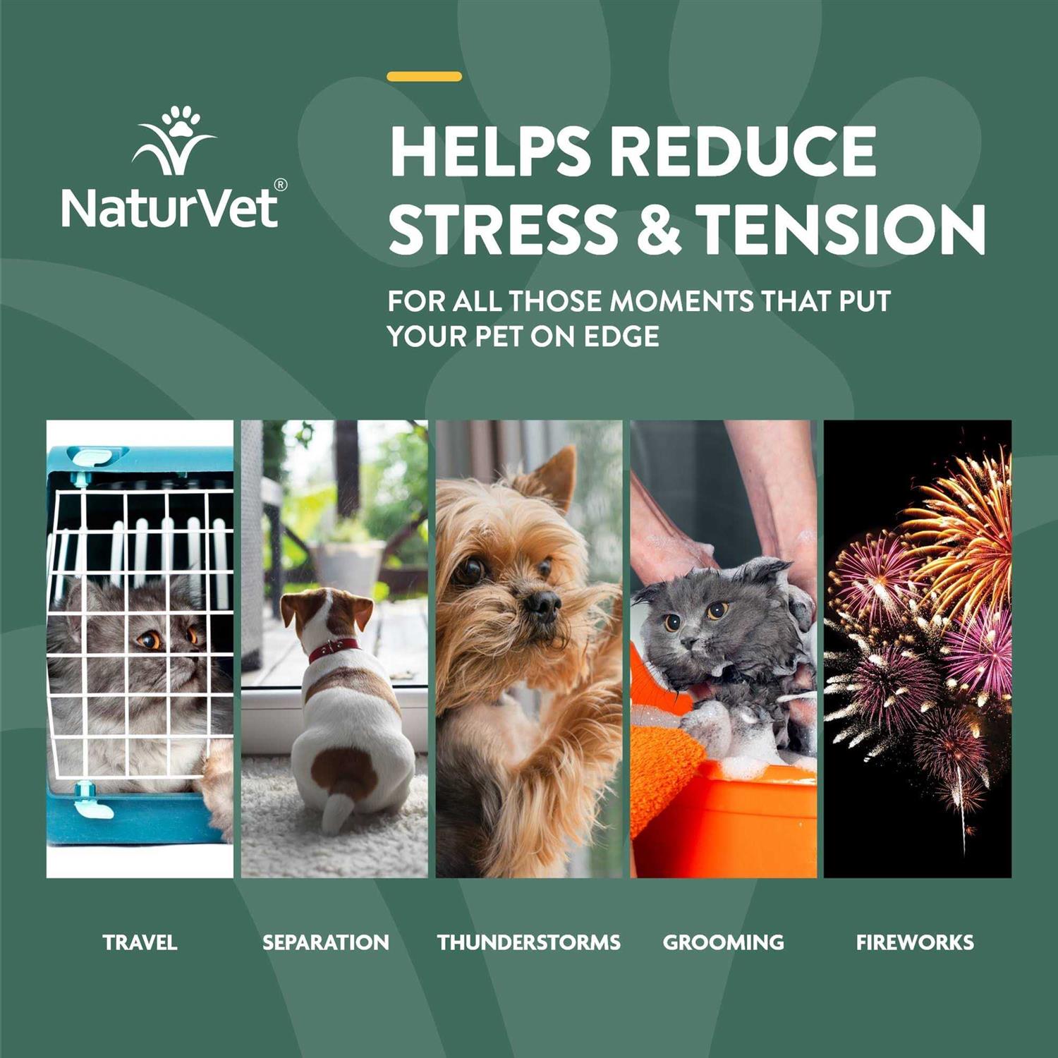 NaturVet Hemp Quiet Moments Calming Drops Hemp Oil for Dogs & Cats - Healthber