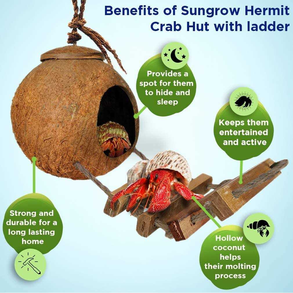 SunGrow Hermit Crab Coco Hut with Ladder - Healthber