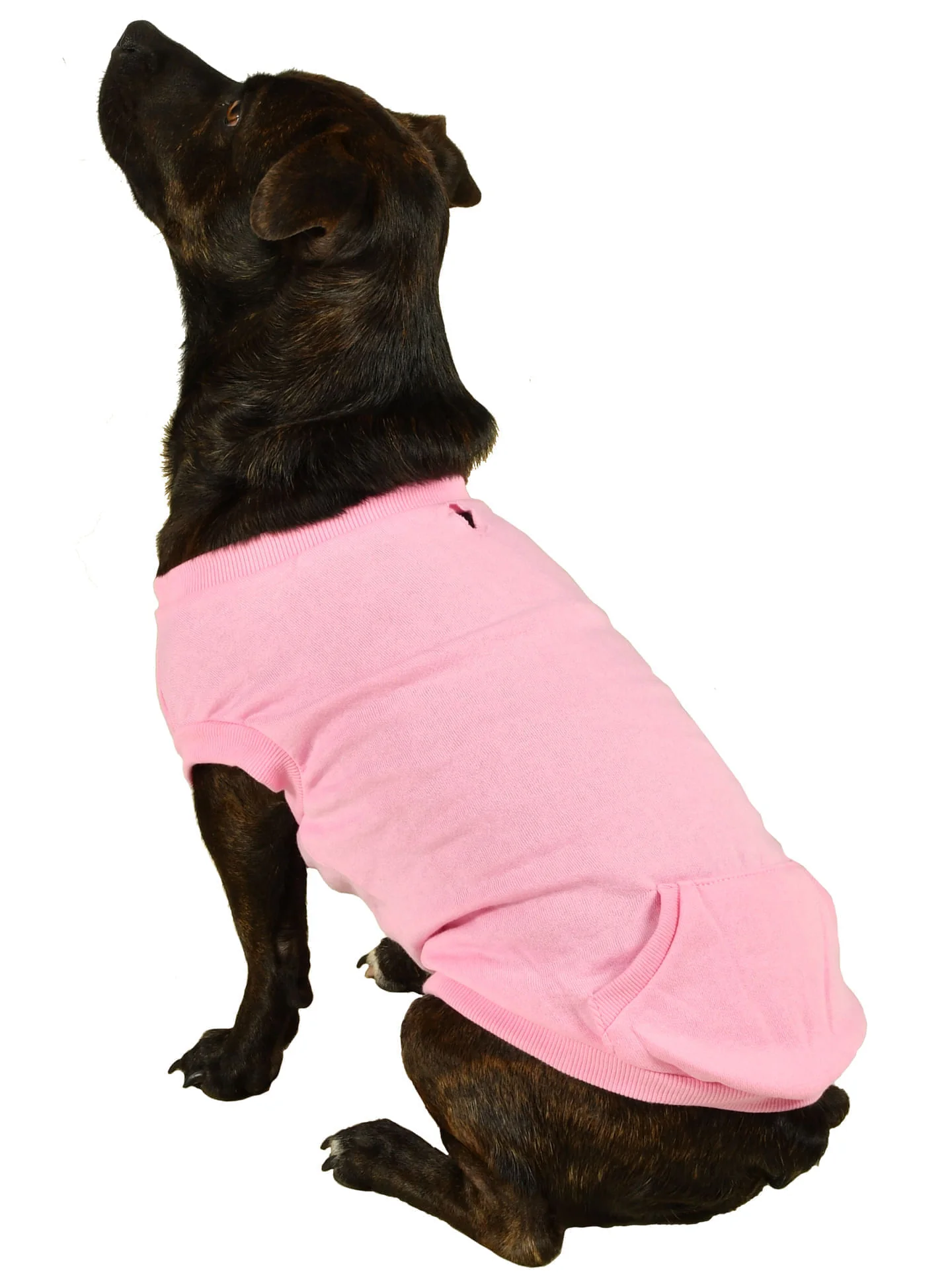 Activewear Sweatshirt - Healthber