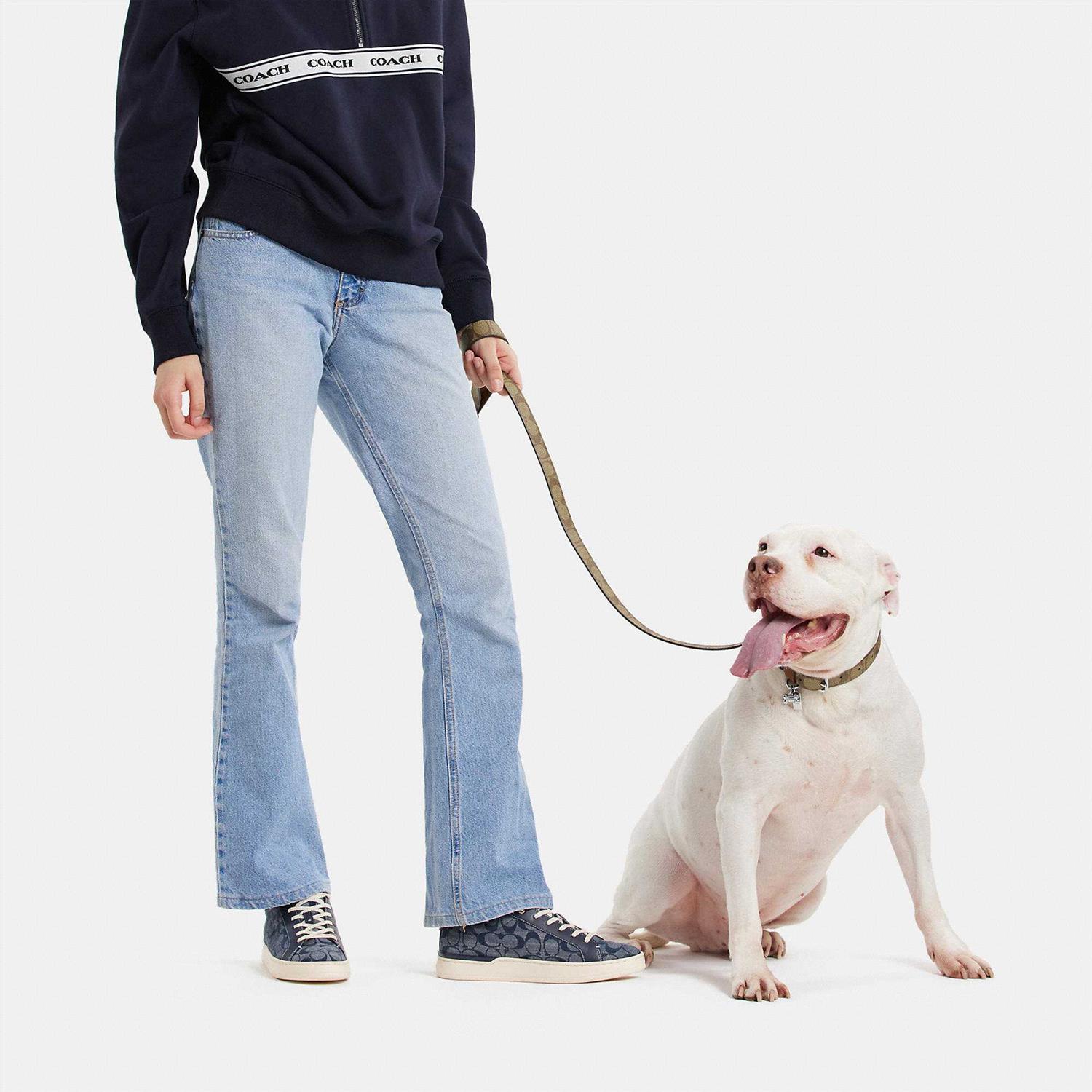 Coach Outlet Boxed Pet Leash In Signature Canvas - Healthber
