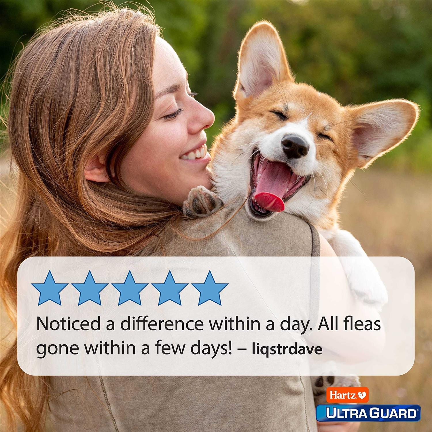 Hartz UltraGuard Flea & Tick Spray for Dogs - Healthber