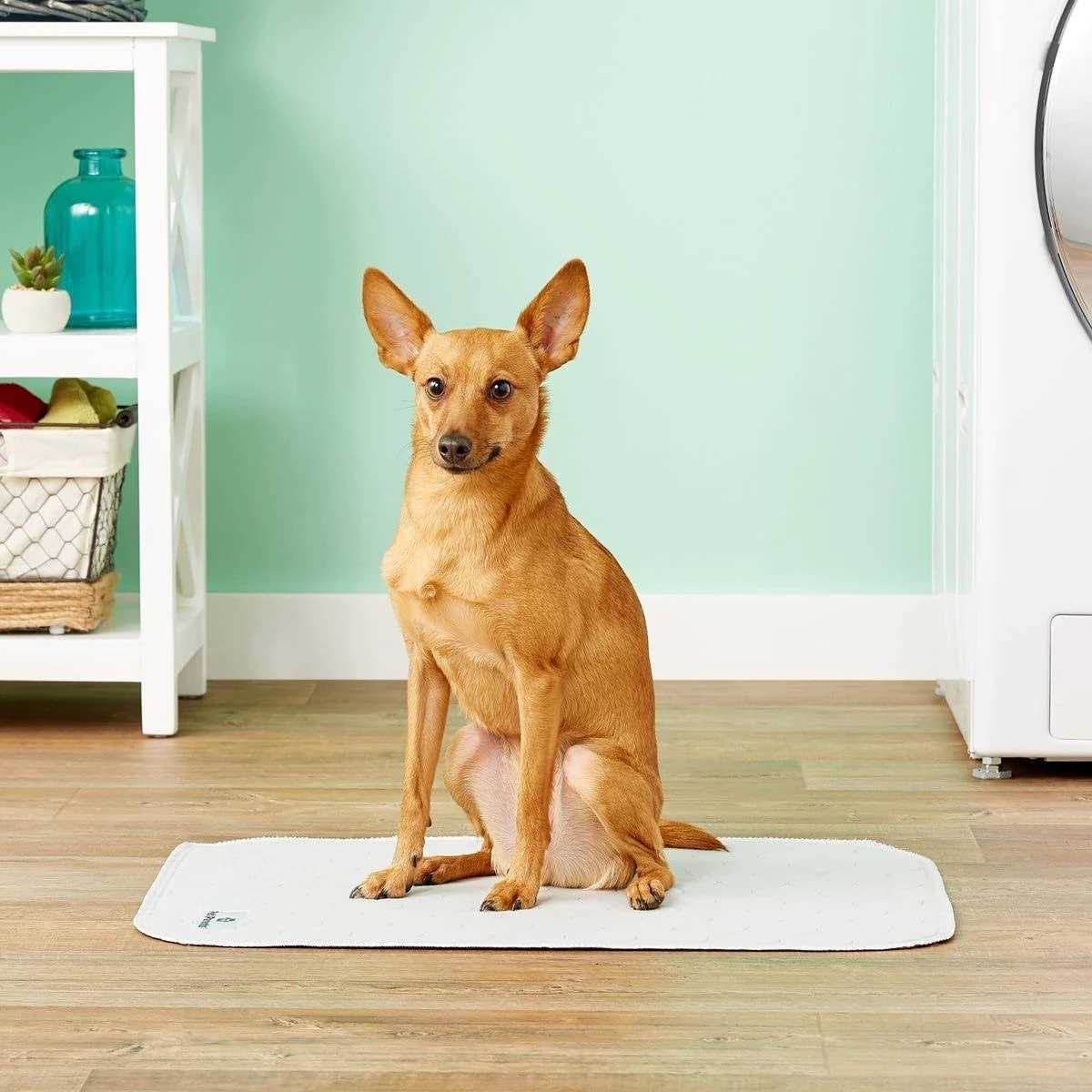 Pet Parents Pawtect Pads Washable Dog Pee Pads - Healthber