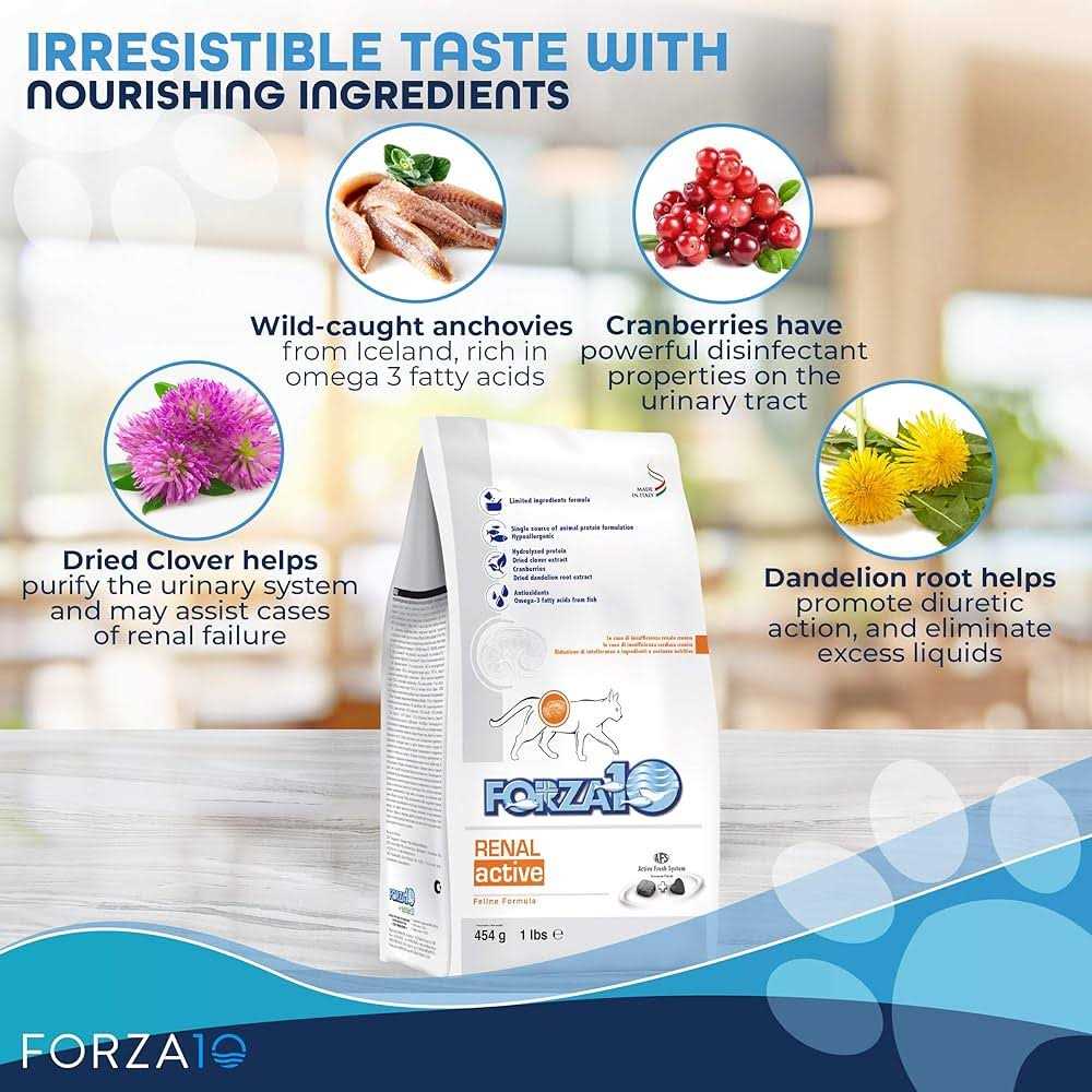 Forza10 Active Kidney Renal Support Diet Dry Cat Food - Healthber