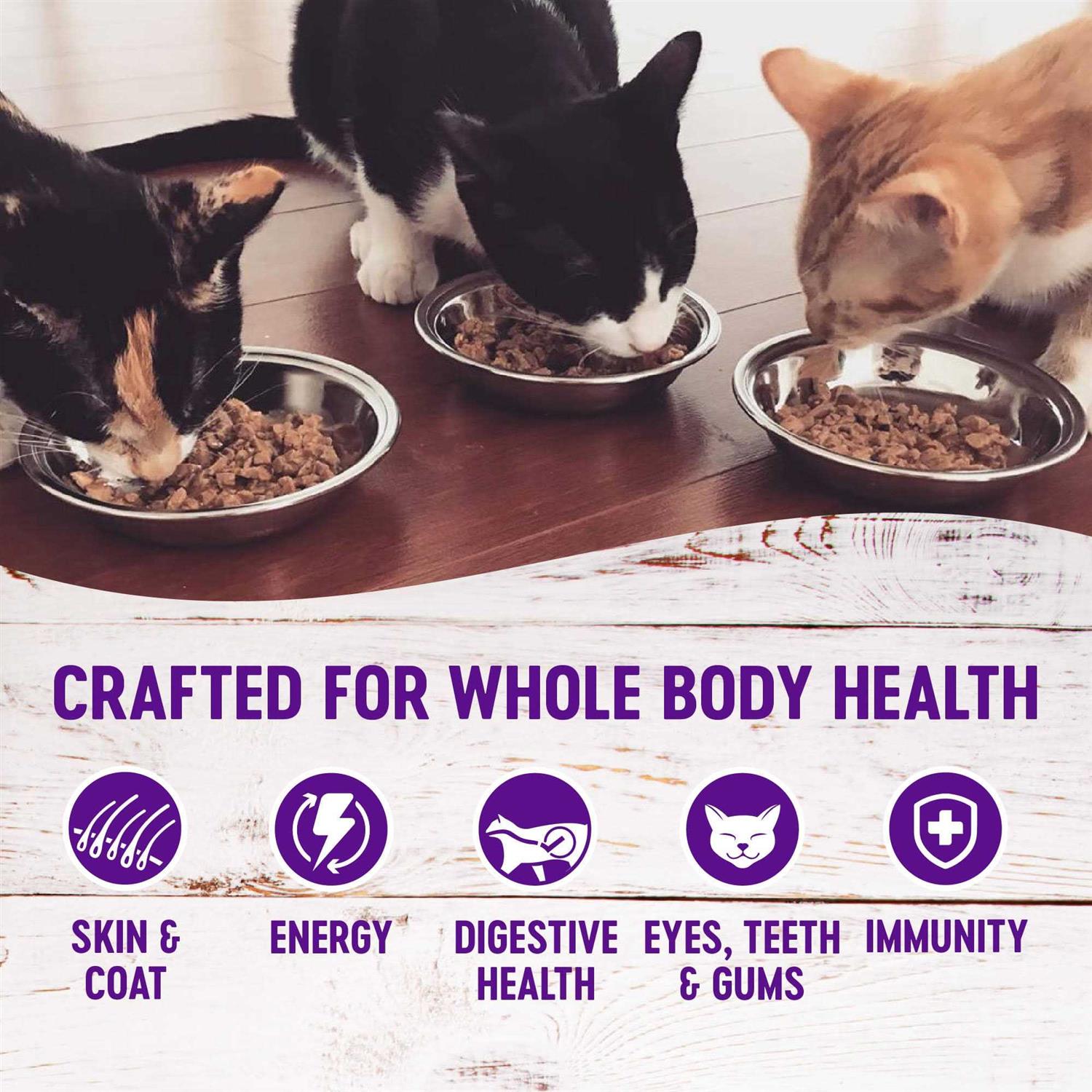 Wellness Healthy Indulgence Grain-Free Gravies Variety Pack Wet Cat Food Pouch - Healthber