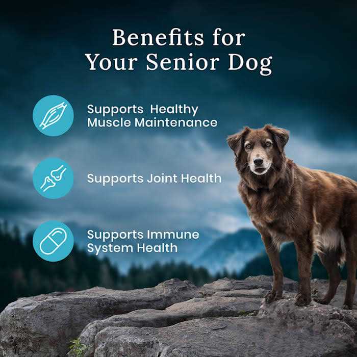 Blue Buffalo Blue Wilderness Premier Blend with Meaty Cuts Chicken Senior Dry Dog Food - Healthber