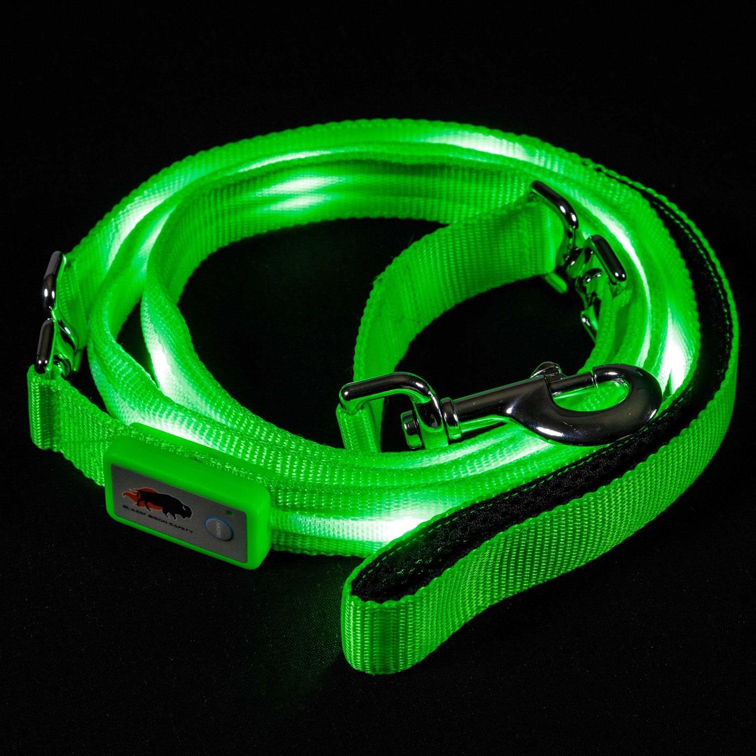 Blazin Safety LED Dog Leash USB Rechargeable Flashing Light - Healthber
