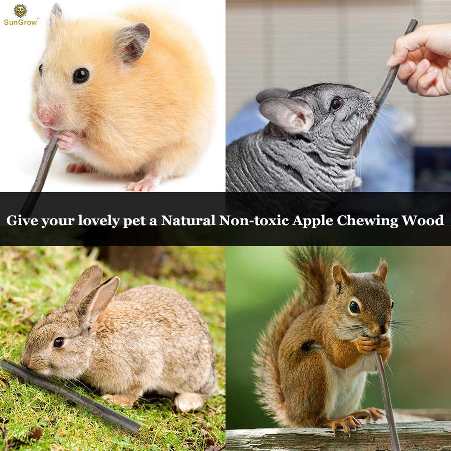 SunGrow Apple Sticks 200g Wood Chew Sticks for Rabbits Chinchillas - Healthber