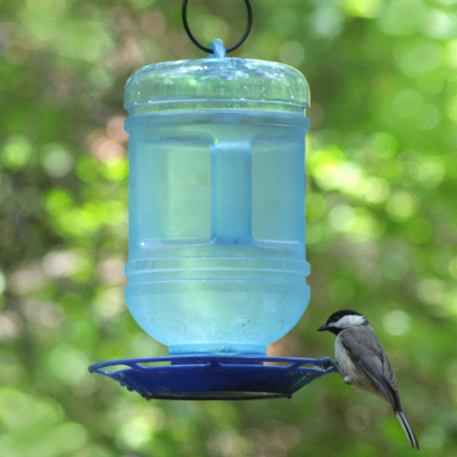 Perky Pet Water Cooler Bird Waterer - Healthber
