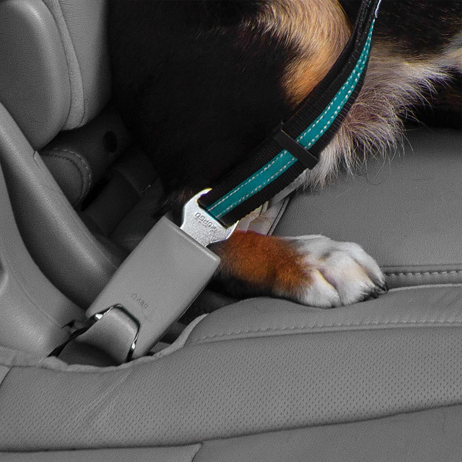 Kurgo Direct to Seatbelt Tether - Healthber