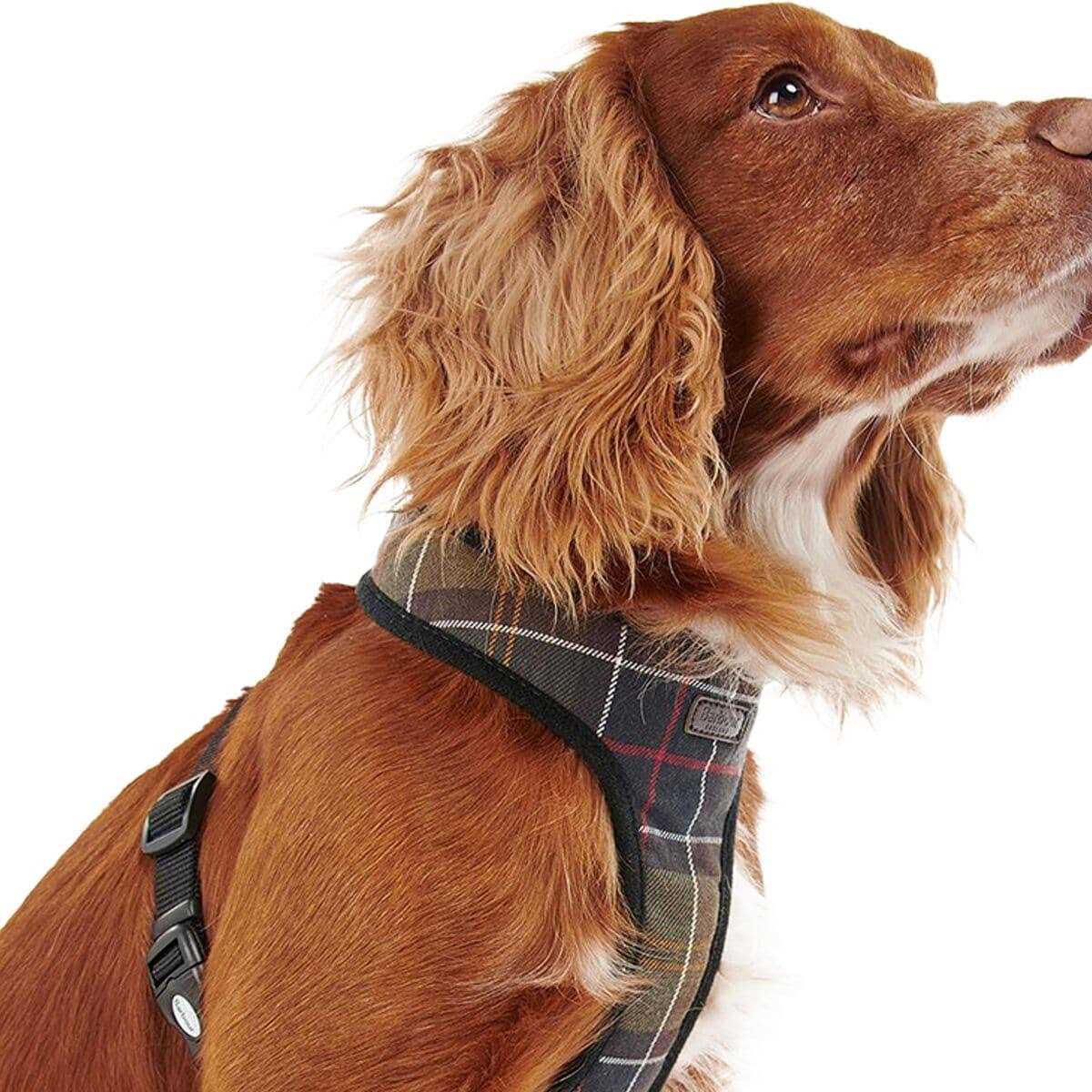Barbour Tartan Dog Harness - Healthber