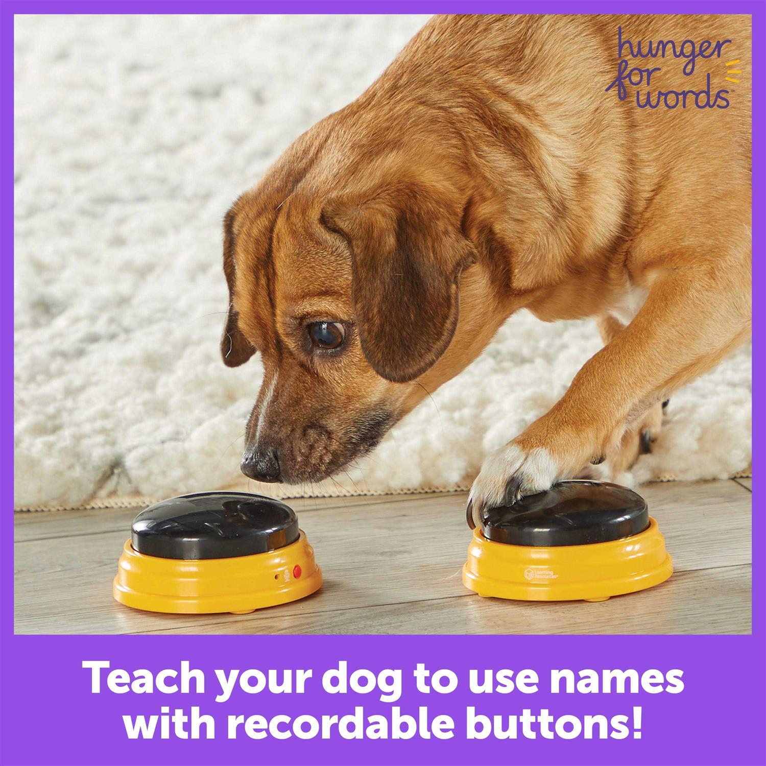 Hunger for Words Talking Pet Next Words - Healthber