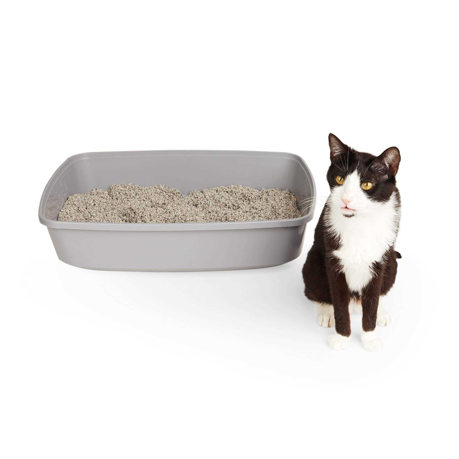 So Phresh Open Cat Litter Box - Healthber