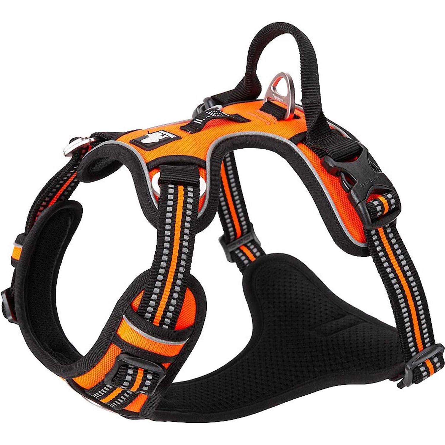 Chai’s Choice Premium Dog Harness Quick Release Neck Buckle - Healthber