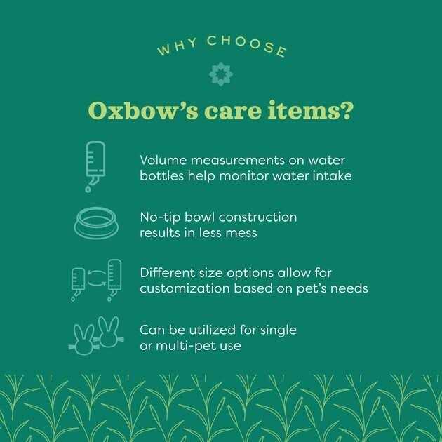 Oxbow Enriched Life No-Tip Small Animal Bowl - Healthber