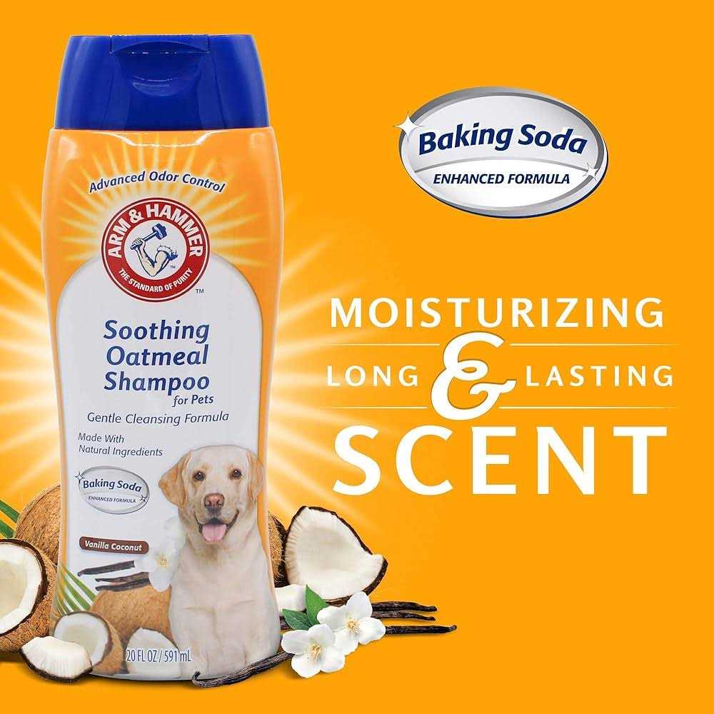 Arm & Hammer Soothing Oatmeal Shampoo for Pets - Healthber