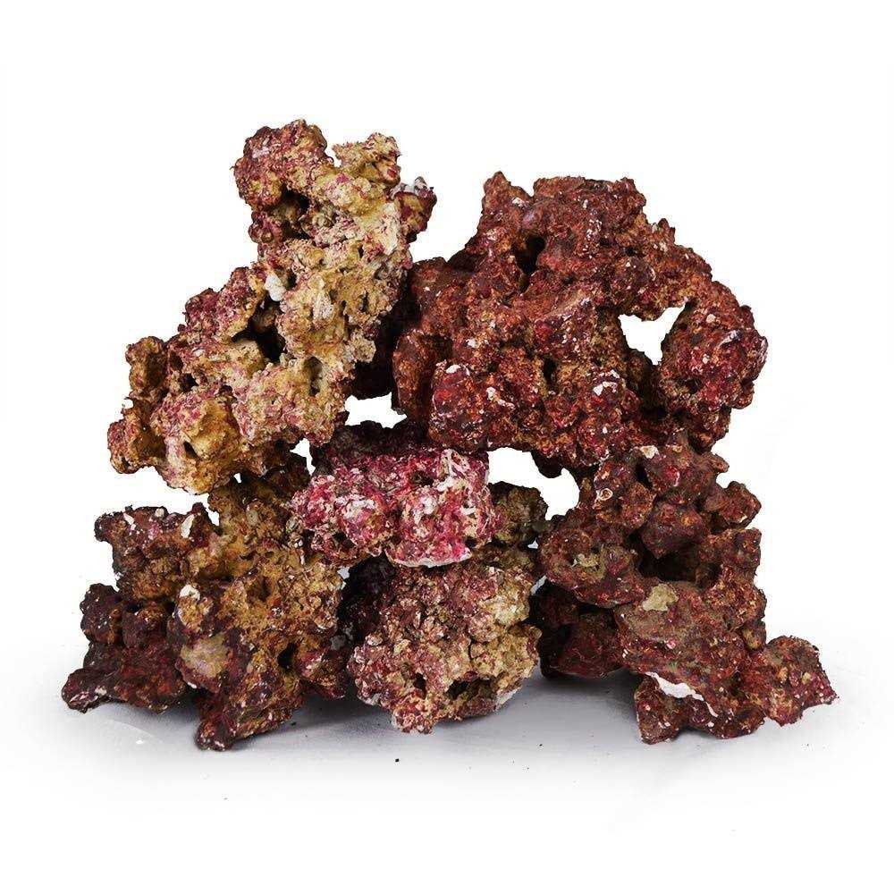 Real Reef Premium Live Rock for Saltwater Aquariums Mixed Sizes - Healthber