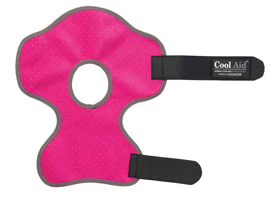 CoolCore Equine Icing and Cooling Hock Wraps - Healthber