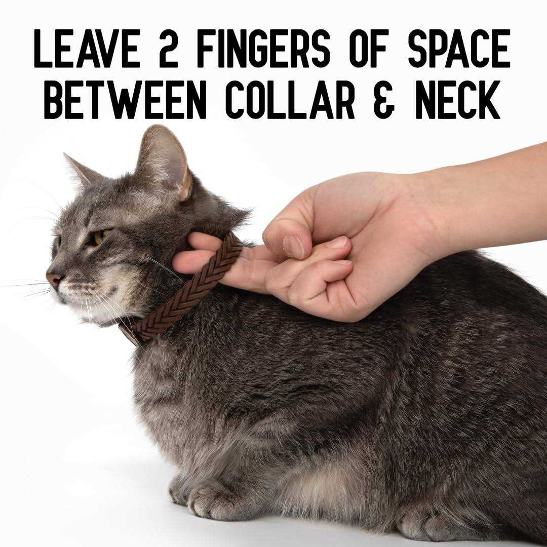 ActivPhy Hip + Joint Mobility Collar for Cats - Healthber