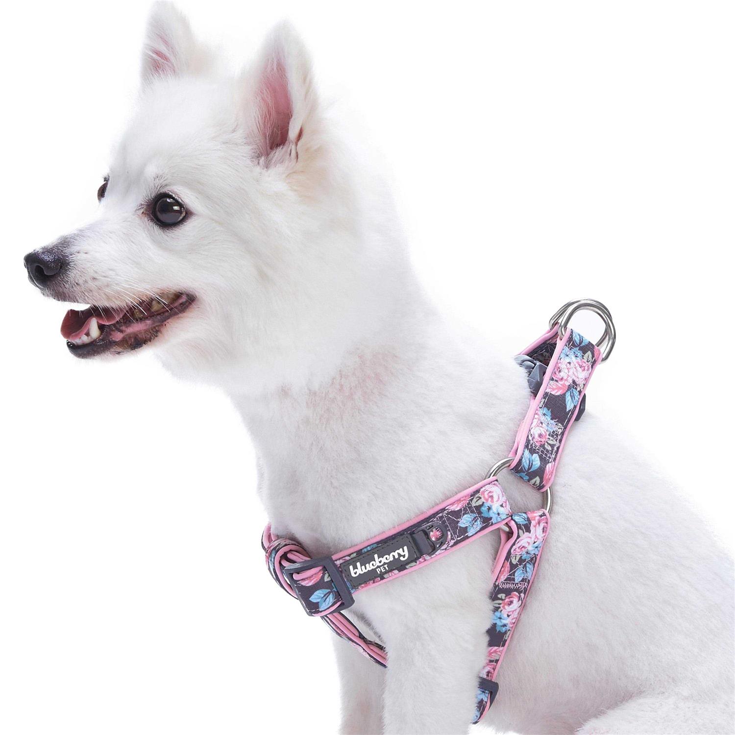 Blueberry Pet Step Dog Harness - Healthber