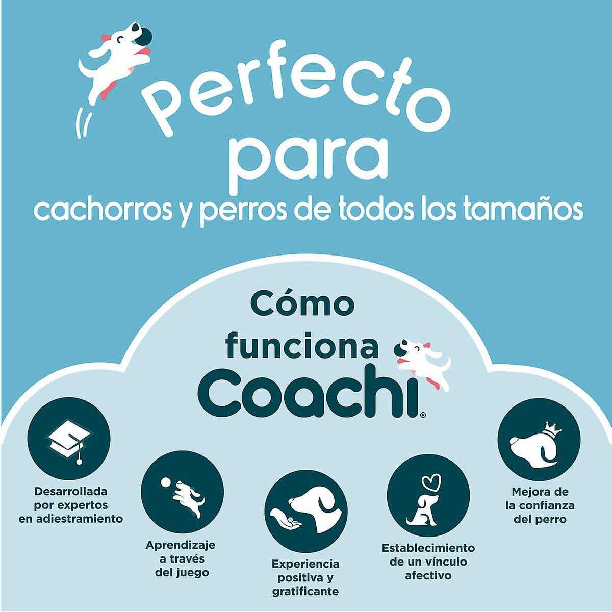 Coachi Fetch & Reward Dog Toy - Healthber