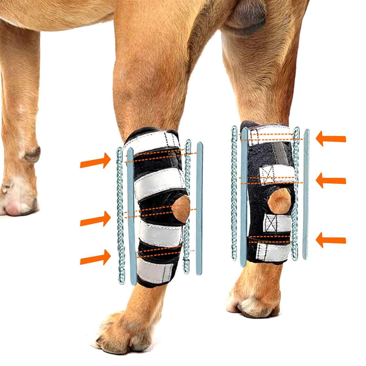 NeoAlly 3-in-1 Long Rear Leg Support Dog Splint Braces - Healthber
