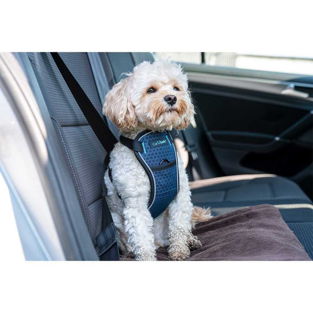 Carsafe Crash Tested Dog Harness - Healthber