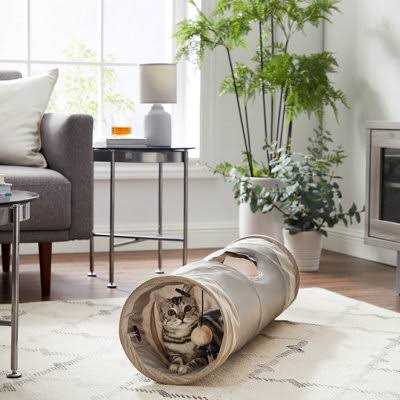 Best Friends by Sheri Ilan Oxford Cat Tunnel - Healthber