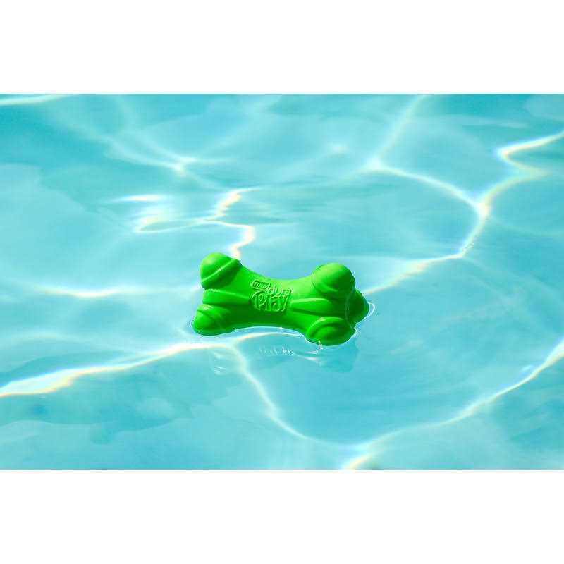 Hartz Dura Play Bone Dog Toy - Healthber