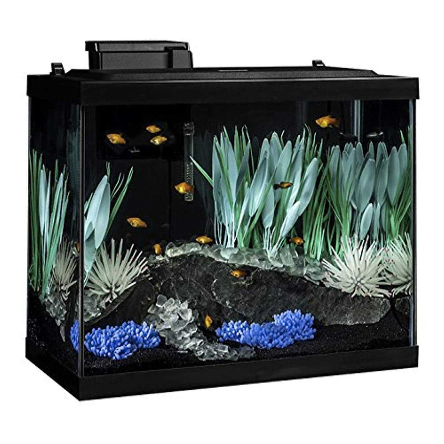 Tetra Colorfusion Aquarium 20 Gallon Fish Tank Kit Includes LED - Healthber