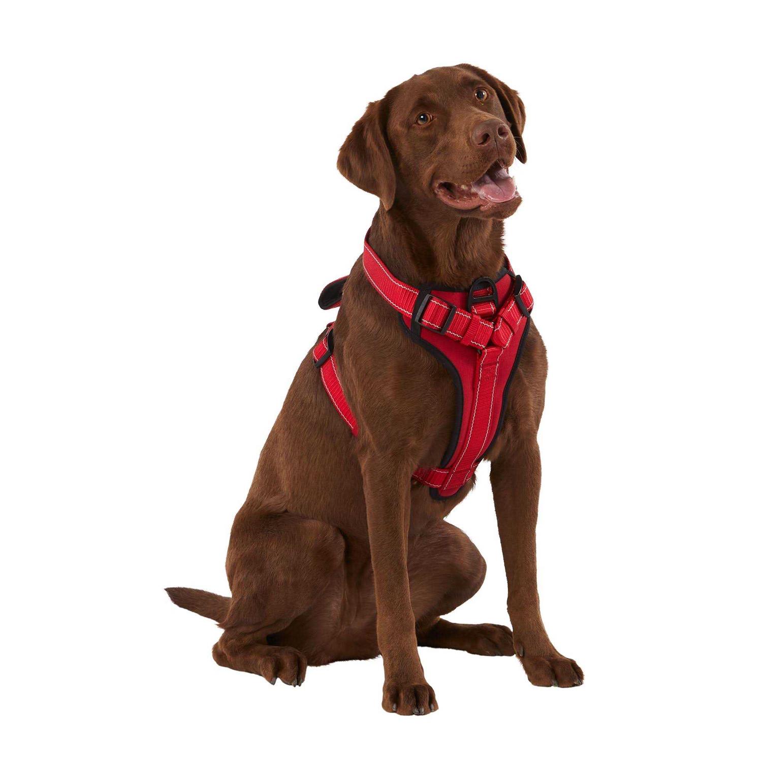 KONG MAX Neoprene Padded Dog Harness - Healthber