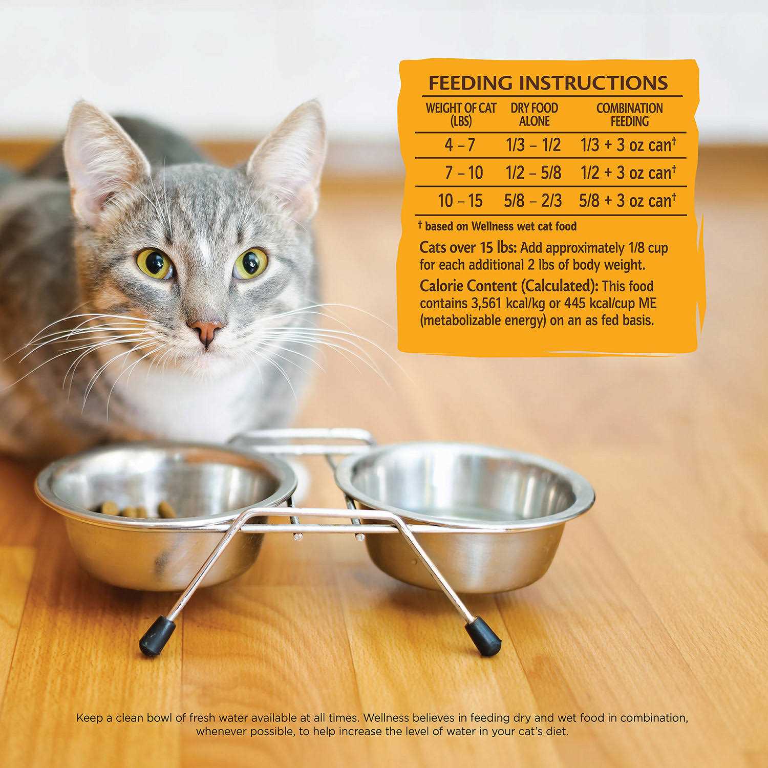 Wellness Core Dry Cat Food - Healthber