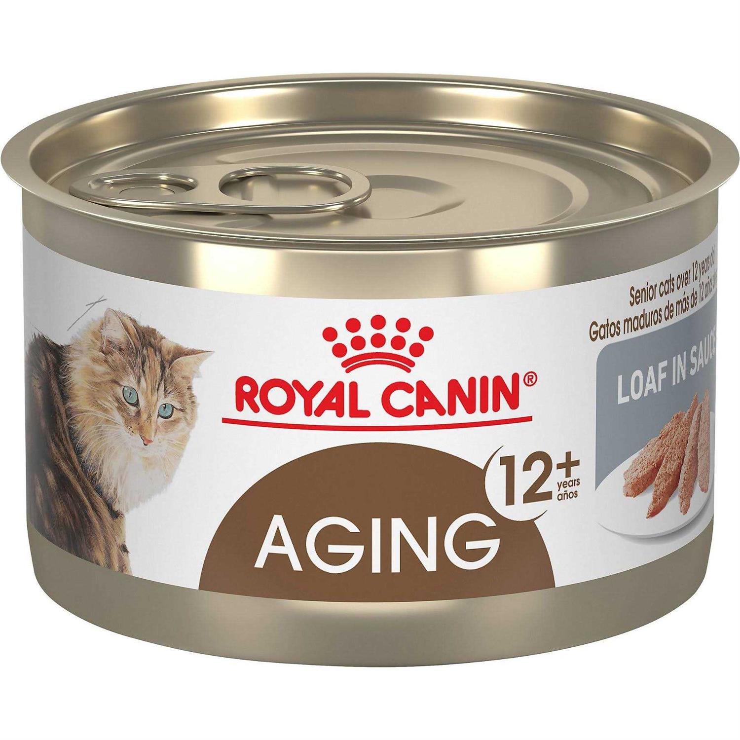 Royal Canin Feline Health Nutrition Aging 12 Loaf In Sauce Canned Cat Food - Healthber