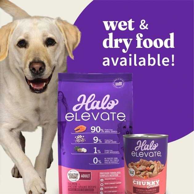 Halo Elevate Kettle Cooked Chunky Healthy Grains Chicken Stew - Healthber