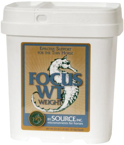 Focus WT Equine Weight Gain Supplement - Healthber