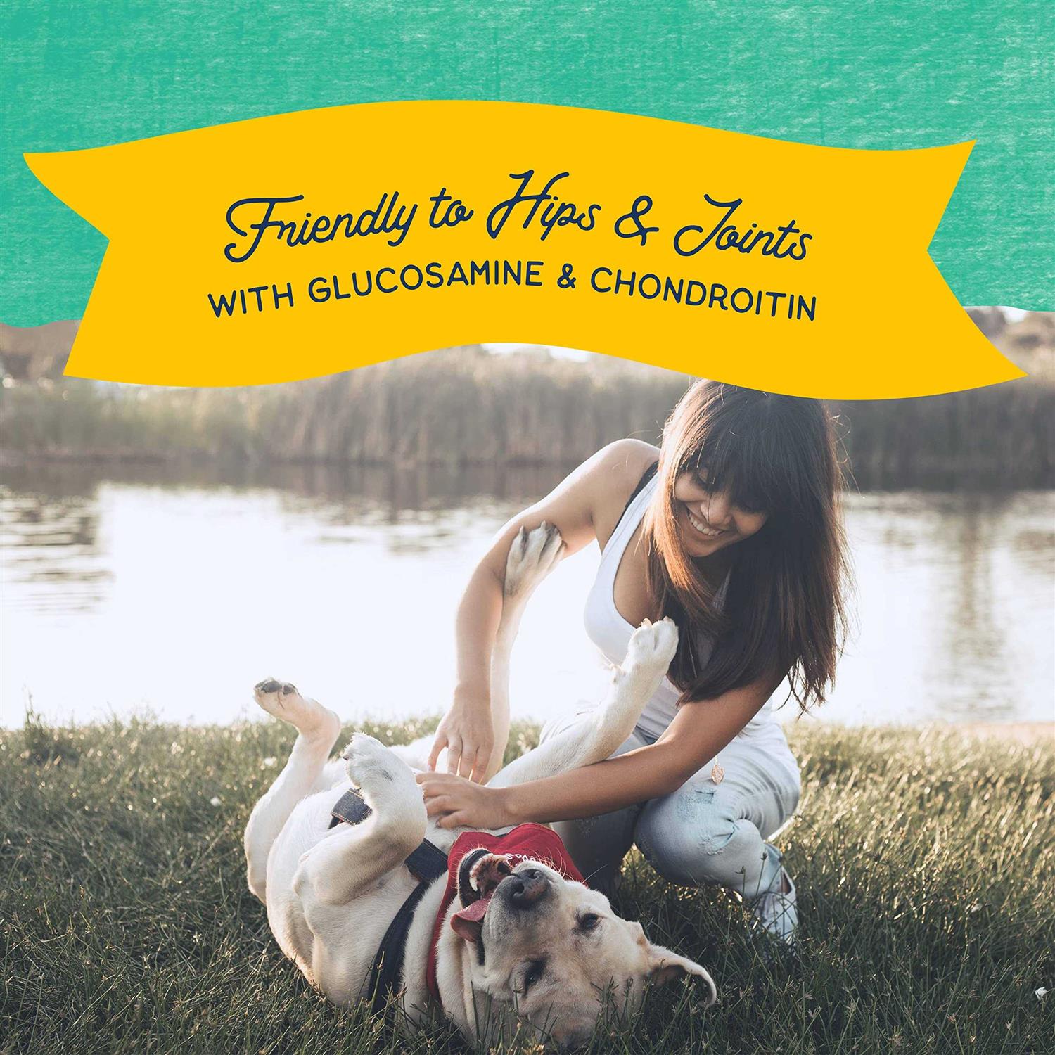 Natural Balance Rewards Jumpin’ Stix Dog Treats - Healthber
