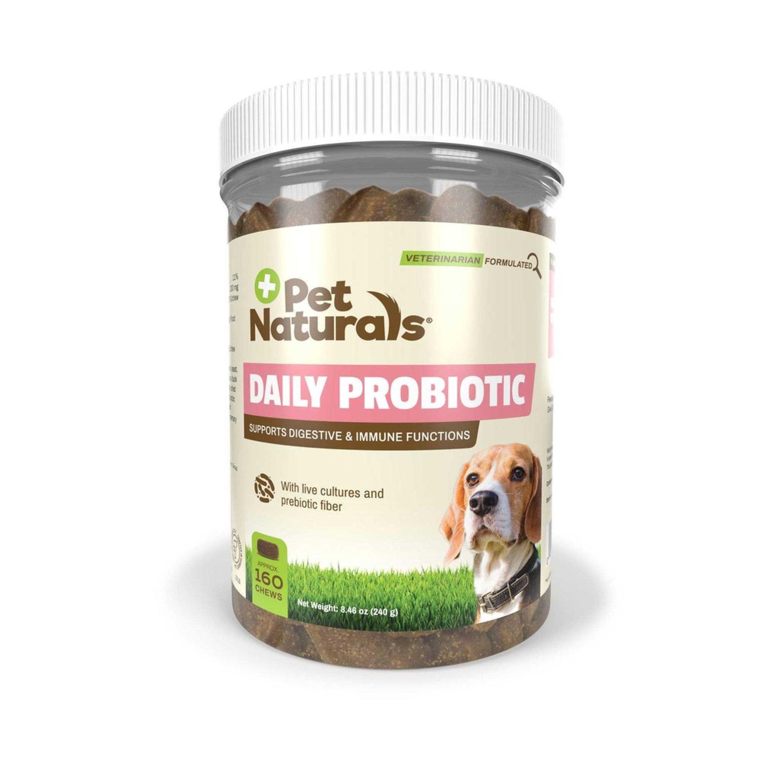 Pet Naturals Daily Probiotic for Dogs - Healthber