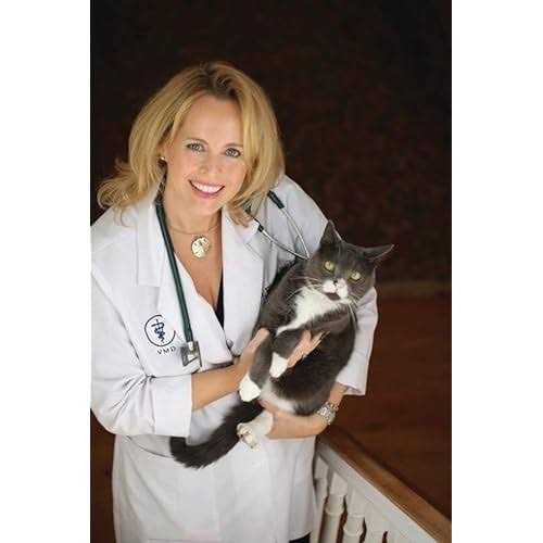 Dr. Bales One Source Clumping Cat Litter - Healthber