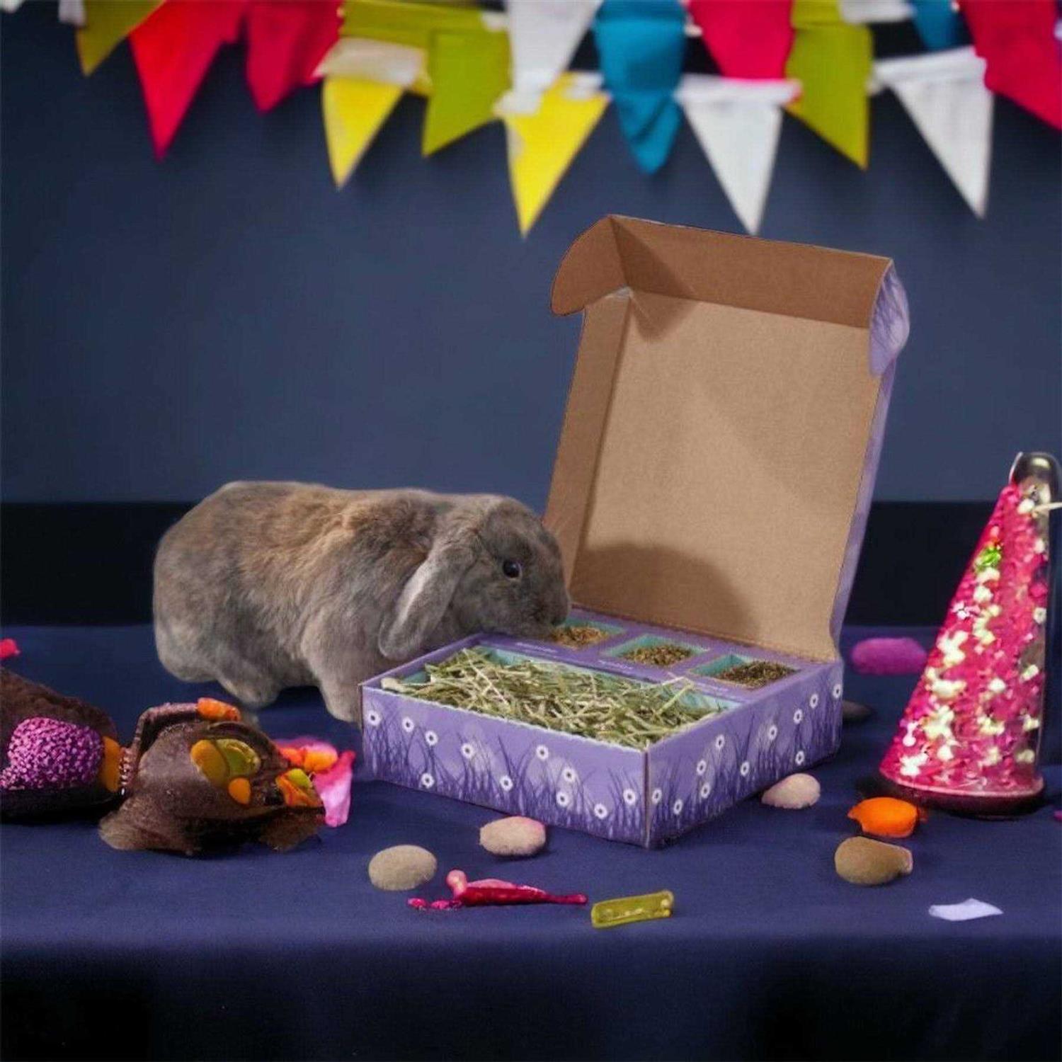 Sweet Meadow Farm Bunny Bento Box Western Timothy - Healthber