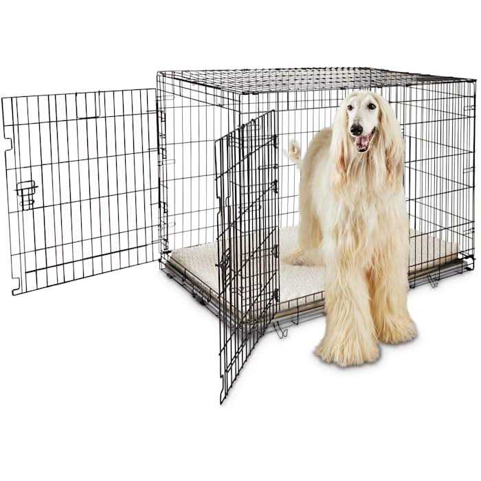 EveryYay Going Places 2-Door Folding Dog Crate - Healthber