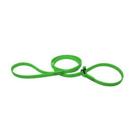 Dogline Biothane Slip Dog Leash for Small, Medium and Large Dogs - Healthber