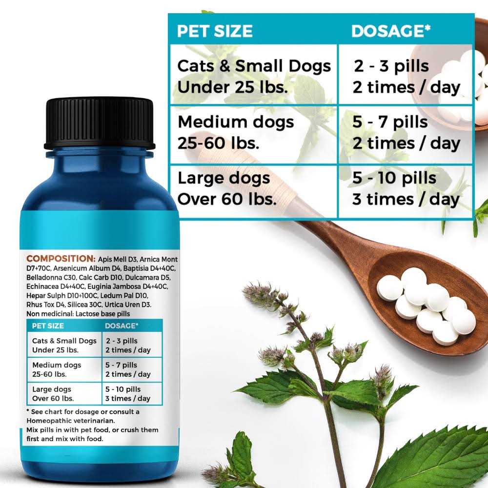BestLife4Pets Holistic Ear Infection Treatment for Dogs and Cats - Healthber