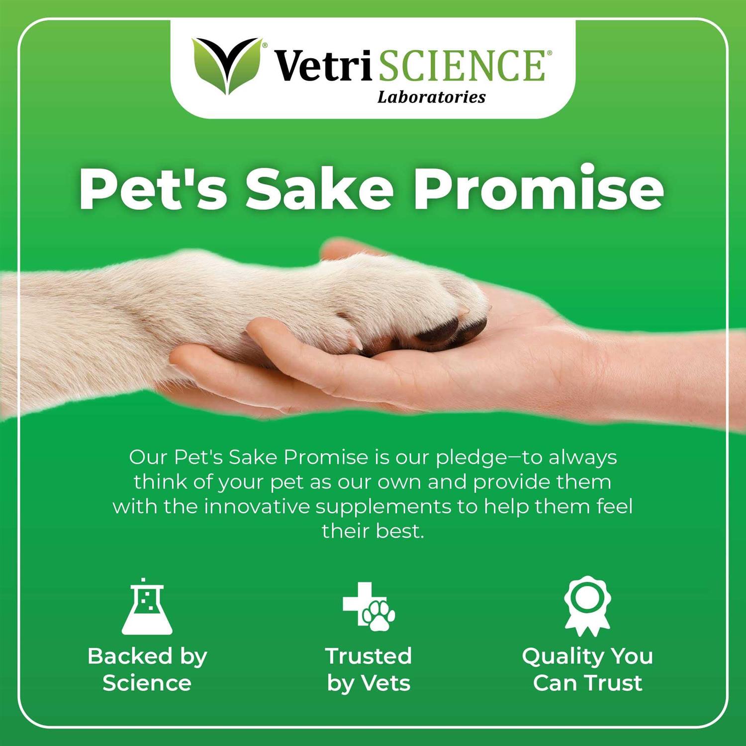 VetriScience Derma Strength Dogs - Healthber